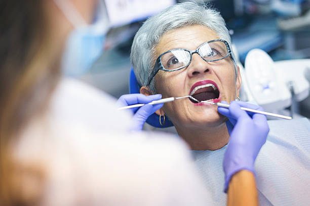Trusted Waterford, WI Holistic Dental Care Services Experts
